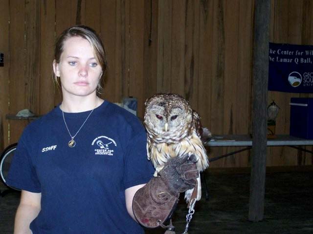 supersaturdayowl1-6-09